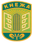 Герб на Община Кнежа