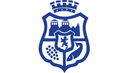 Герб на Община Видин